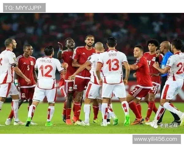 加纳与突尼斯实力对比分析谁能在足球赛场上更胜一筹