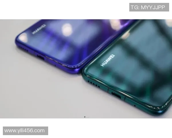 双色球专家分析与对比揭示中奖规律与技巧的深度探讨