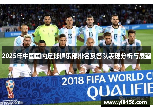 2025年中国国内足球俱乐部排名及各队表现分析与展望