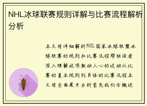 NHL冰球联赛规则详解与比赛流程解析分析